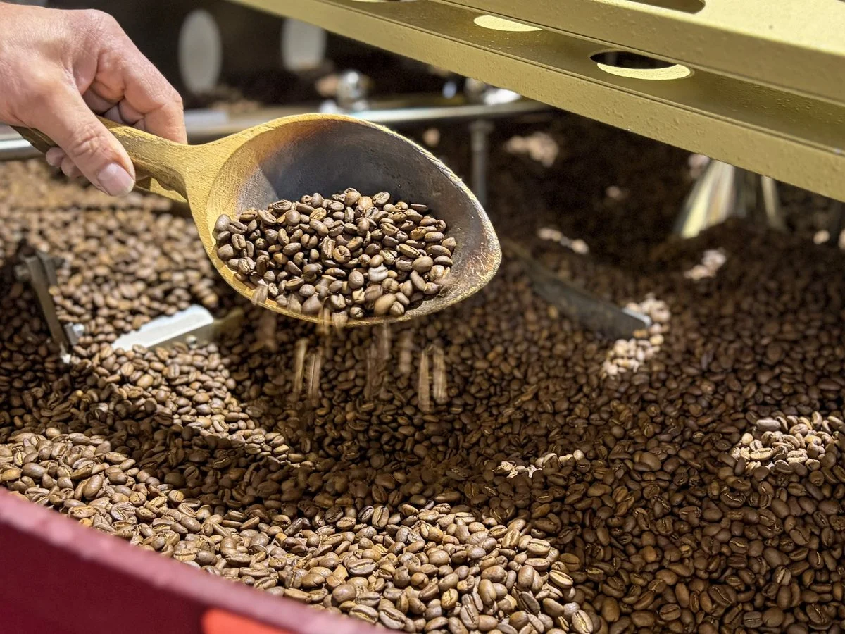 Into the cooling tray – coffee roasting at Kaffeerösterei Kirmse, Zwiesel
