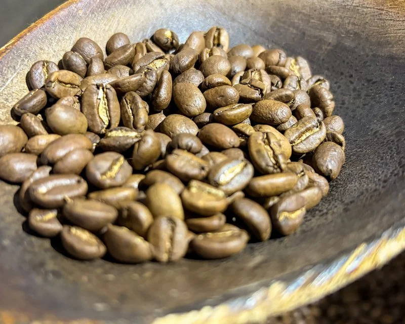 Freshly roasted coffee beans in the sampling scoop