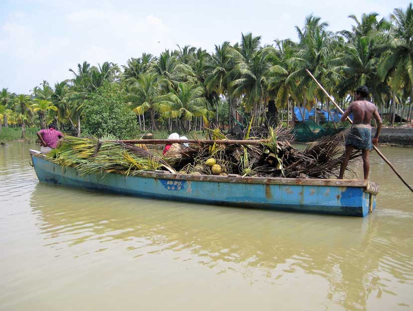 Boot mit Palmenblättern