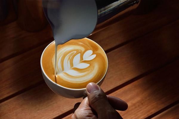 Latte Art Tulpe