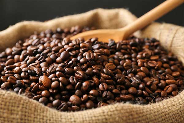 Kaffeebohne für Lungo Kaffee